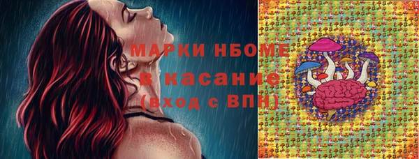 2c-b Краснослободск