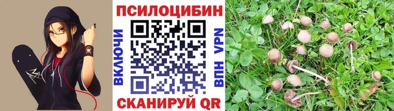 Купить закладки  Весьегонск  Галлюциногенные грибы GOLDEN TEACHER 